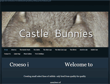 Tablet Screenshot of castlebunnies.weebly.com