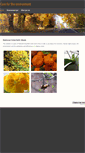 Mobile Screenshot of environmentcare.weebly.com