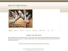 Tablet Screenshot of bestinflight.weebly.com