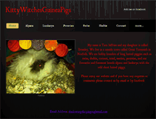 Tablet Screenshot of kittywitchesguineapigs.weebly.com