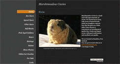 Desktop Screenshot of marshmeadowcavies.weebly.com