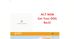 Desktop Screenshot of lostdog.weebly.com