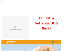 Tablet Screenshot of lostdog.weebly.com