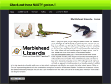 Tablet Screenshot of marbleheadlizards.weebly.com