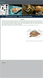 Mobile Screenshot of mollusks.weebly.com