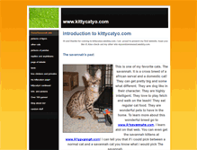 Tablet Screenshot of kittycatyo.weebly.com