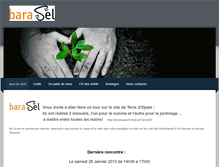 Tablet Screenshot of barasel.weebly.com