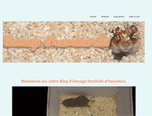 Tablet Screenshot of elevagedhamsters-be.weebly.com