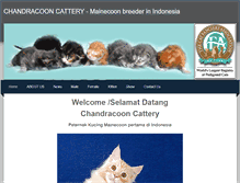 Tablet Screenshot of chandracoon.weebly.com