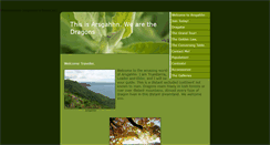 Desktop Screenshot of dragonwild.weebly.com