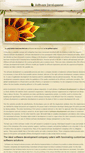 Mobile Screenshot of developmentsoftware.weebly.com