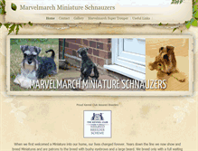 Tablet Screenshot of marvelmarch.weebly.com
