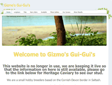 Tablet Screenshot of gizmosgui-guis.weebly.com