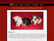 Tablet Screenshot of longcoatchihuahua.weebly.com