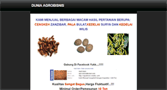 Desktop Screenshot of agrobisnis.weebly.com