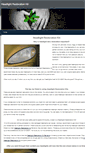 Mobile Screenshot of headlight-restoration-kit.weebly.com