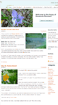 Mobile Screenshot of aeroponicbunnies.weebly.com