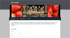 Desktop Screenshot of mrssnader.weebly.com