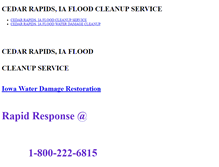 Tablet Screenshot of cedarrapidsiafloodcleanupservice.weebly.com