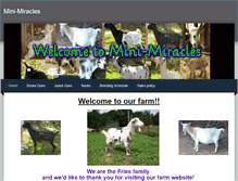 Tablet Screenshot of mini-miracles.weebly.com