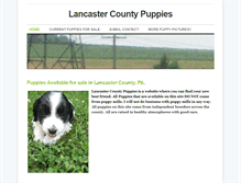 Tablet Screenshot of lancpuppies.weebly.com