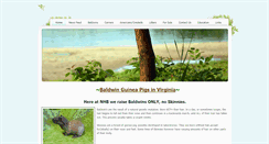 Desktop Screenshot of nhbbaldwins.weebly.com