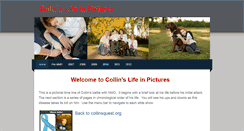 Desktop Screenshot of collinslifeinpictures.weebly.com