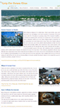 Mobile Screenshot of cleanoceans.weebly.com