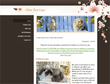 Tablet Screenshot of olivetreelops.weebly.com