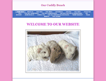 Tablet Screenshot of ourcuddlybunch.weebly.com