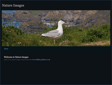 Tablet Screenshot of nature-images.weebly.com