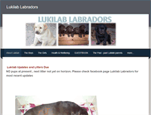Tablet Screenshot of lukilablabradors.weebly.com