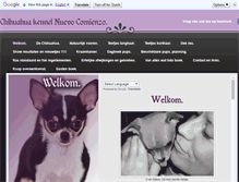 Tablet Screenshot of chihuahuanc.weebly.com