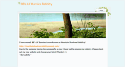 Desktop Screenshot of bbslilbunnies.weebly.com