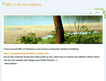 Tablet Screenshot of bbslilbunnies.weebly.com