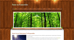 Desktop Screenshot of internetbasics.weebly.com