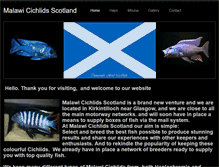 Tablet Screenshot of malawicichlidsscotland.weebly.com