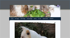 Desktop Screenshot of otterwispguineapigs.weebly.com