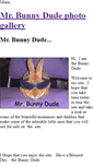 Mobile Screenshot of mrbunnydude.weebly.com