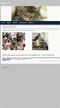 Mobile Screenshot of catlovers101.weebly.com