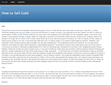 Tablet Screenshot of howtosellgold.weebly.com
