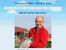 Tablet Screenshot of burca-ionut.weebly.com