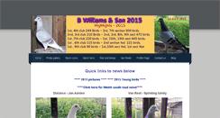 Desktop Screenshot of bwilliamsandson.weebly.com