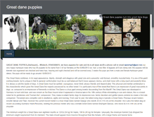 Tablet Screenshot of greatdanepups.weebly.com