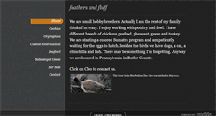 Desktop Screenshot of feathersandfluff.weebly.com
