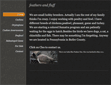 Tablet Screenshot of feathersandfluff.weebly.com