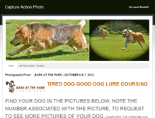 Tablet Screenshot of captureaction.weebly.com