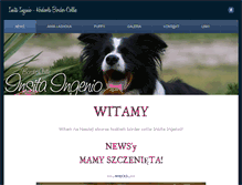 Tablet Screenshot of aiwabordercollie.weebly.com