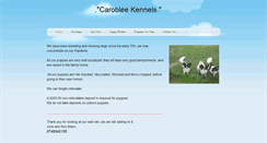 Desktop Screenshot of caroblee.weebly.com