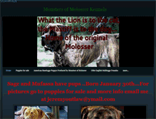 Tablet Screenshot of monstersofmolosserkennels.weebly.com